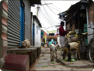 An alleyway in Indiramma Nagar
